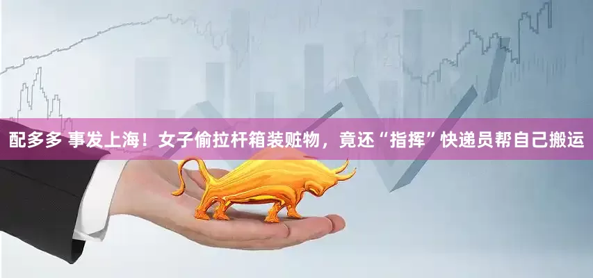 配多多 事发上海！女子偷拉杆箱装赃物，竟还“指挥”快递员帮自己搬运